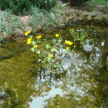 Ostello Goscinne - Urle Borzymy