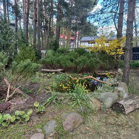 Goscinne - Urle Ostello Borzymy