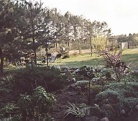 Ostello Goscinne - Urle Borzymy