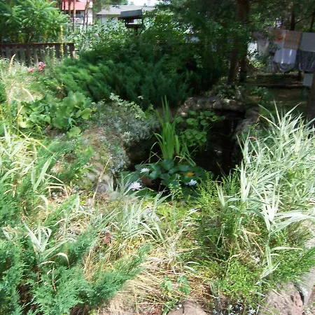 Goscinne - Urle Borzymy