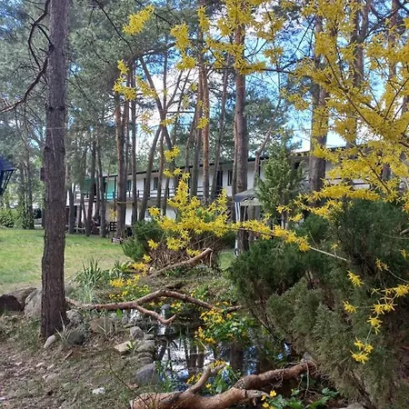 Goscinne - Urle Hostel Borzymy