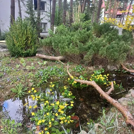 Goscinne - Urle Ostello