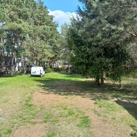 Ostello Goscinne - Urle *