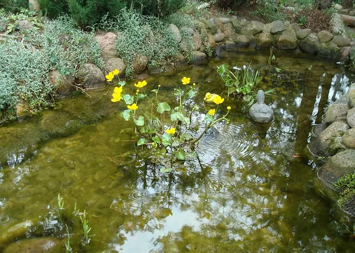 Hostel Goscinne - Urle Borzymy