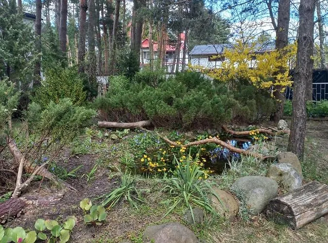 Goscinne - Urle Hostel Borzymy