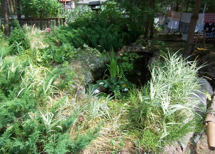 Goscinne - Urle Borzymy