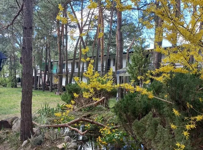 Goscinne - Urle Hostel Borzymy