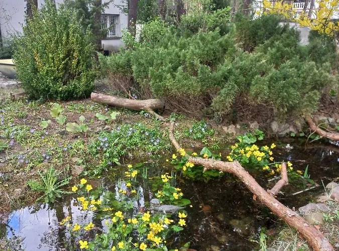 Goscinne - Urle Hostel